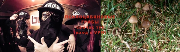 а пвп мука Абдулино