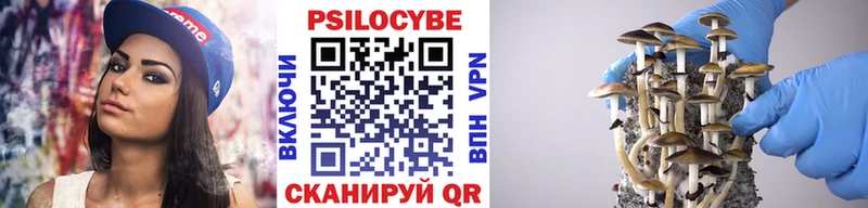 OMG ONION  Черногорск  Псилоцибиновые грибы ЛСД 